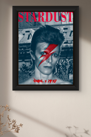 Ziggy RebelX