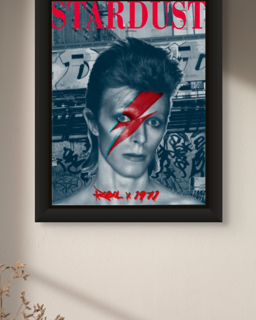 Ziggy RebelX